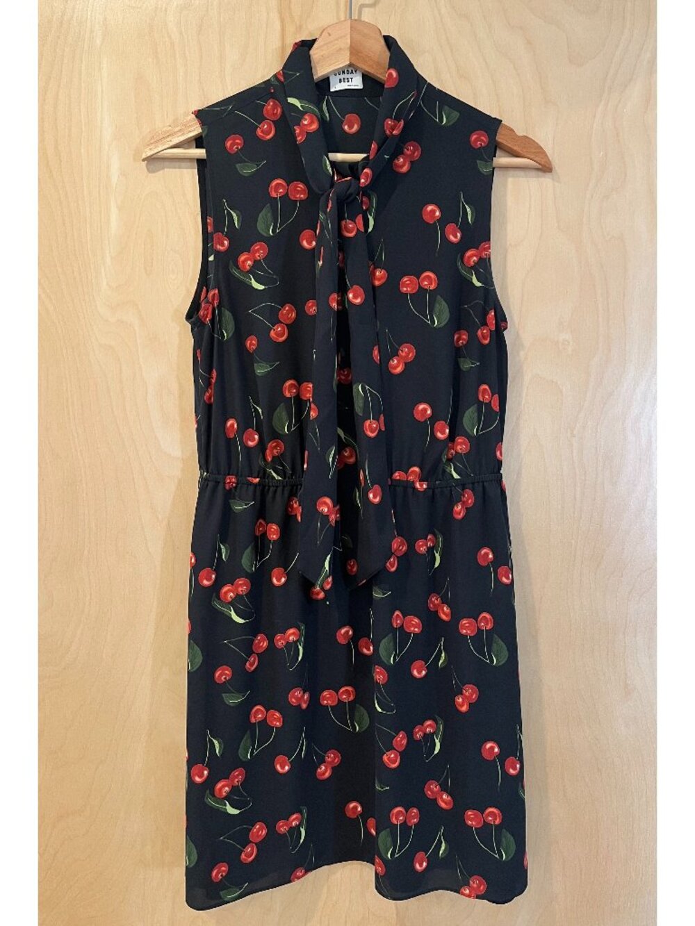 Aritzia Sunday Best Black Cherry Dress